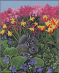 (image for) Baby Cottontails